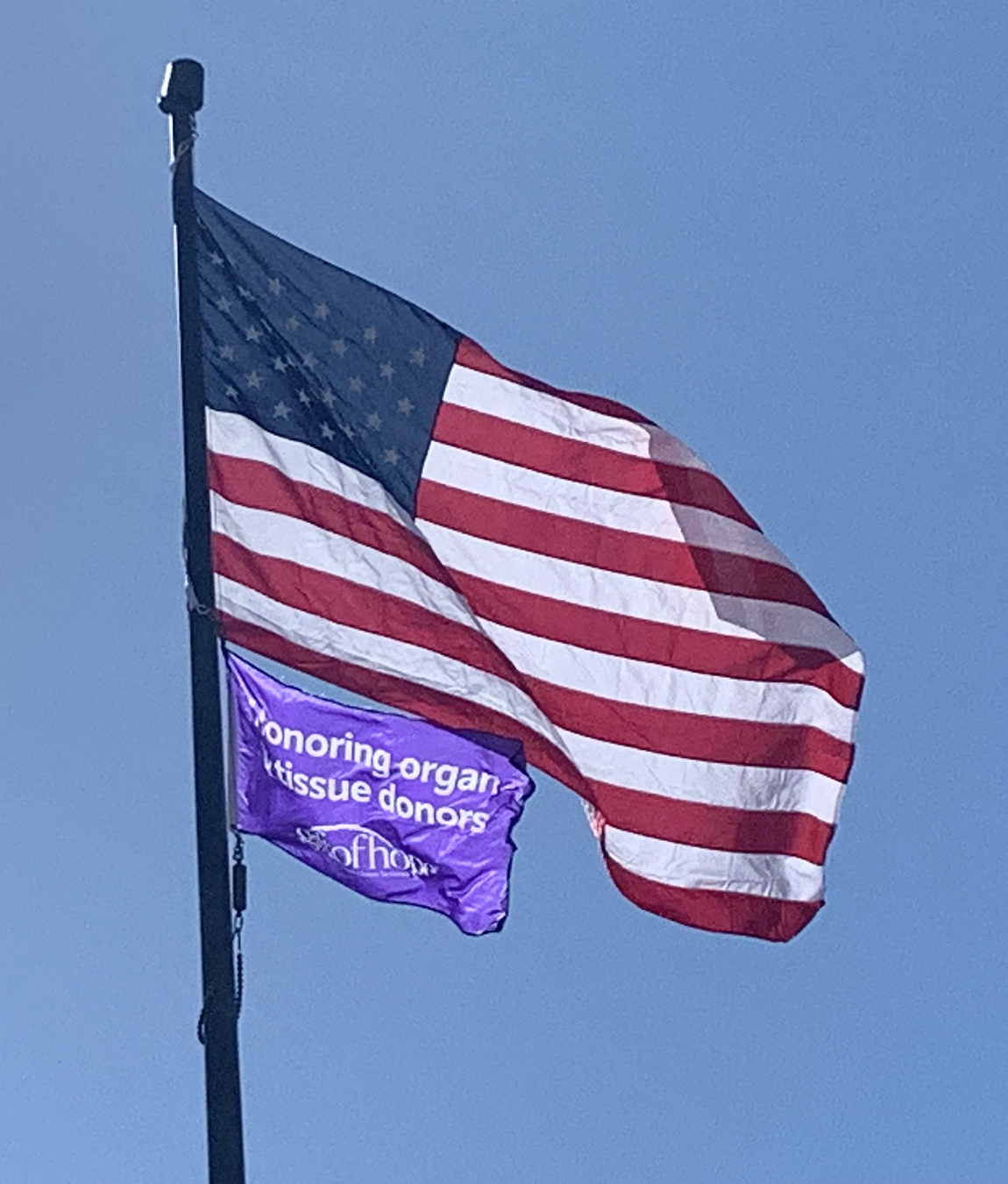 Blessing Organ Donation Flag