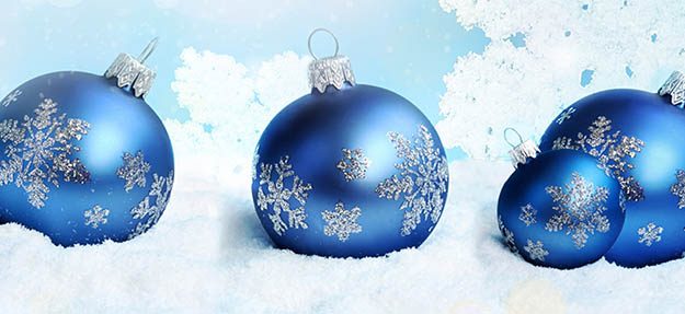 Teresa Adams House Holiday Social
